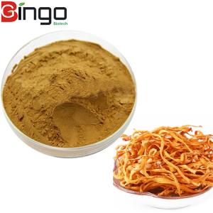 Wholesale High Quality Natural organic Cordyceps Militaris Extract Powder 10:1 from china suppliers