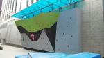 Child-Safe Large Rock Climbing Wall Hand Holds with CE/ROHS/EN12557/ISO9000