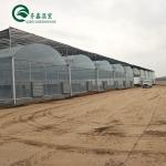 30 x 100 Vegetable Growing Film Covered Multi-span Arch Greenhouse with PO Cover