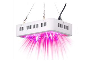 Wholesale Dual Chip LED Plant Grow Light Strong Brightness With Long Lifespan 600W - 2000W from china suppliers