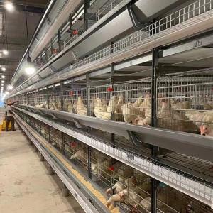 Wholesale Fully Automatic Battery H Type Layer Chicken Cage For Laying Chicken Farms from china suppliers