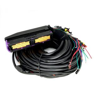 Wholesale Multipoint CNG LPG Automotive Wiring Harness 56 Pin For 6 Cylinder ECU from china suppliers