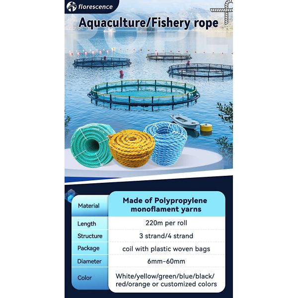 Customized Floating 3 Strand Polysteel Aquaculture /Fishery Rope With High MBL Made in Florescence