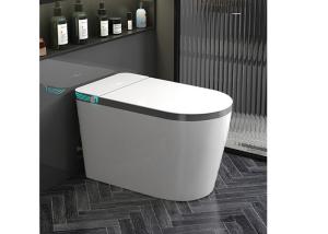 Wholesale Automatic Sanitary Ware Items , Black Bathroom Wc Intelligent Ceramic Toilet Bowl from china suppliers