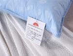 50x70cm Disposable Cotton Down Pillows