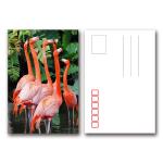 3D Flash Card Lenticular 3d Pictures Animal Design For Kids Gift