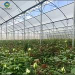Galvanized Steel Gothic Shaped Greenhouse Snow Resistance With Ventilation