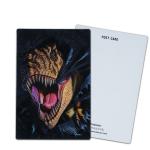 Customize 3D Lenticular Postcards Dinosaur Wild Animals for Zoo Park