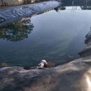 Wholesale 1mm HDPE Geomembrane Pond Liner for Dam Pond Project in Singapore Waterproof Black Blue from china suppliers