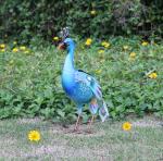 Seven Color Change 13 Inch 1.2W Peacock Solar Garden Light