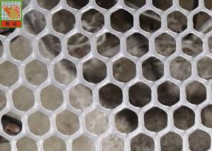 Wholesale Hexagonal Plaining 13mm Extruded Plastic Netting from china suppliers