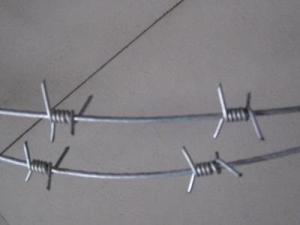 Wholesale Single Twist Type Antique Barbed Wire With A Variety Of Sizes Galvanized from china suppliers