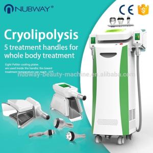 Wholesale 2 cryo handles working together cool body shaping fat freezing cryolipolysis machine from china suppliers