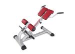 Customizable Ab Exercise Chair Plate Loaded 50kg Equipment Weight Soft Cushion