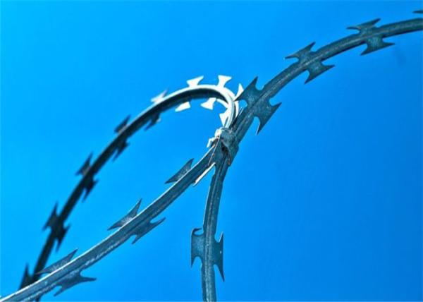 Stainless Steel Concertina Razor Barbed Wire,blade barbed wire mesh fence,hot