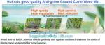 prevent insects,tree planting,agriculture protection Plastic weed barrier,weed