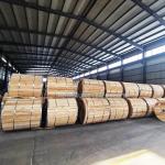 All Aluminum Conductor AAC AAAC for Bare Overhead Power Transmission Line