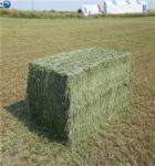 A premium grade fibrillated split-film twine PP baler twine for square bales