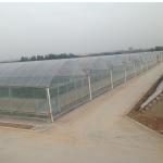 Durable Tomato Greenhouse Agriculture Plastic Film with Cooling and Heating
