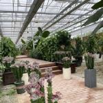 Innovative Design and Innovative Hydroponic Glass Greenhouse for Growing