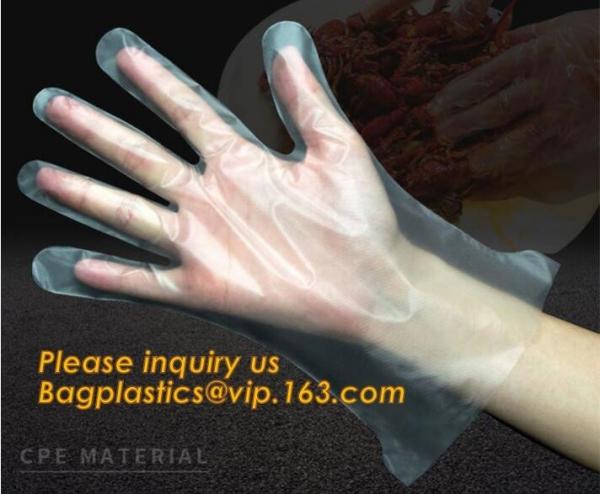 Quality Disposable Plastic Polythene PE Gloves Cleaning Prepare Food,STERILE TWO FINGER GLOVES IN POLYETHYLENE, small packing PE for sale