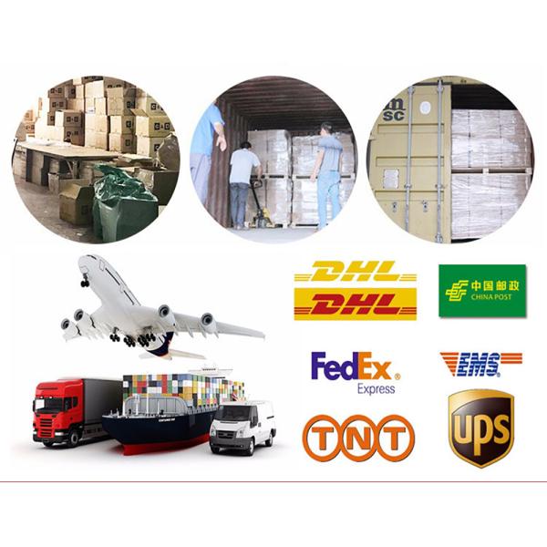 Yellow Color Solar Powered Bee Novelty Mini Solar Energy Toys For Children