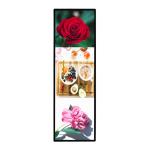 Shelf Standing 70" 1920x540 Digital Poster Led Display