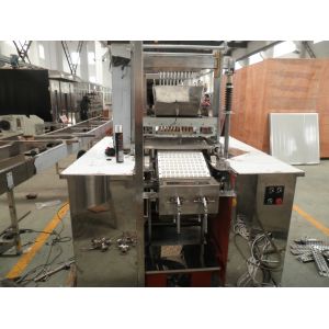 Fruit Juice Gummy Production Line