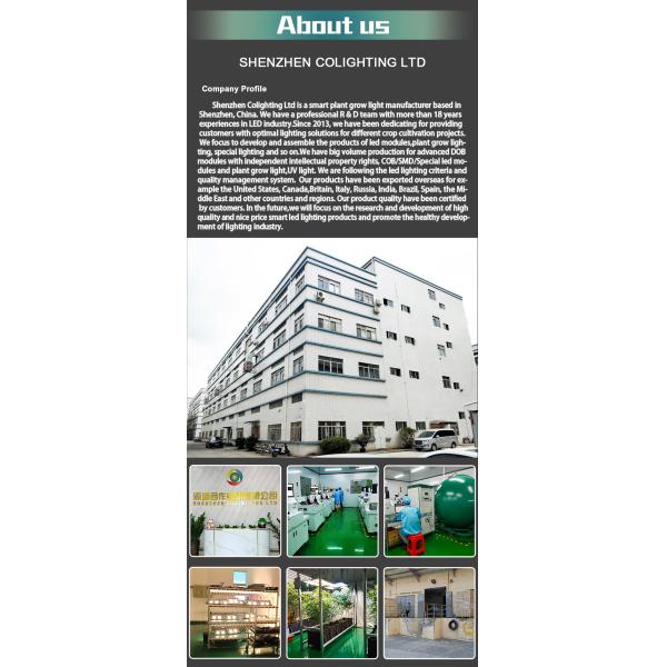 100W LED Quantum Board Full Spectrum LED Growth Light For Indoor Greenhouse