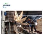 Heavy Industry Fully Automatic Veneer Wood Wall Panel Sheet Desiccation