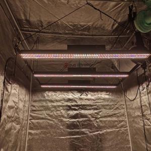 Wholesale SAMSUNG LM301H WIFI LED Grow Light from china suppliers