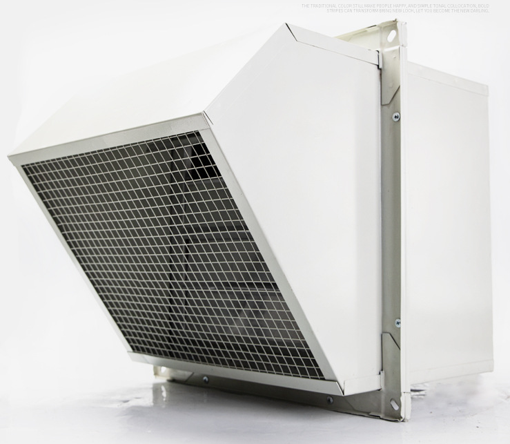 Wall Fan Mounting Axial Flow Ventilation Exhaust Fan with High Powered External Side