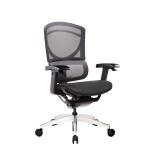 Ergonomic Full Mesh Sync Sliding Back&Seat Adjustable Office Chair