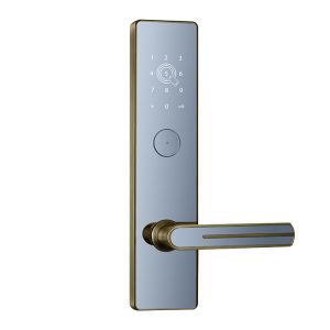 OEM / ODM Smart Code Lock With WiFi Apartment Management System