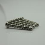 Pan Head Torx 304 Stainless Steel PT Self Tapping Screw PB3*20 customized