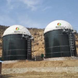 Wholesale Technology Of Biogas Production Biogas Digestion Agricultural Biogas Plant from china suppliers