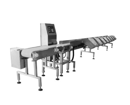 Food Grade Fruit Grader Conveyor Belt Weight Sorting Machine