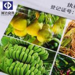 Customized Color BOPP Woven Bags Woven Polypropylene Sacks General Packaging