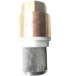 Bellows Globe Tubular Vertical Brass Spring Check Valve