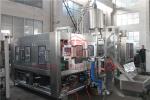 Mango Puree 38mm Bottle Neck Hot Juice Filling Machine For Plastic Bottle