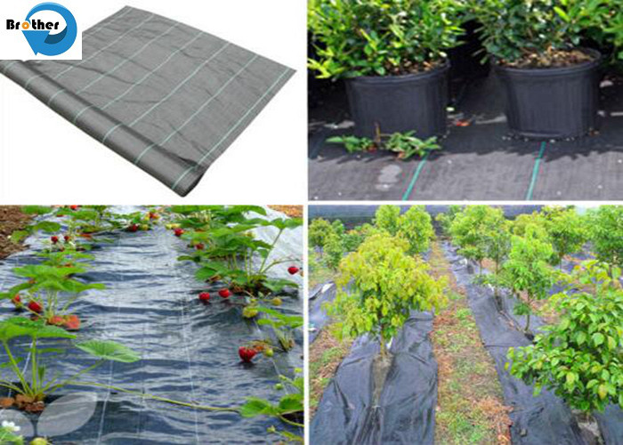 Black/Green PP Ground Cover/ Black Weed Control Mat/Landscape Fabric