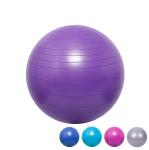 ZH Purple 45CM Inner Thigh Workout Yoga Ball 1600g Fitness Gear Stability