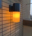 Flame Decorative Solar Garden Lights Black Design Classic Style