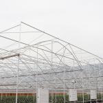 Galvanized Steel Frame PE Plastic Film Greenhouse For Agriculture Low Cost
