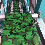 Cutting Service RAL9001 RAL1002 RAL1001 Sale Prepainted Galvanized PPGI Color