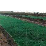CE/ISO9001/ISO14001 Certified Plastic Grass Paver Grid for Driveway and Parking