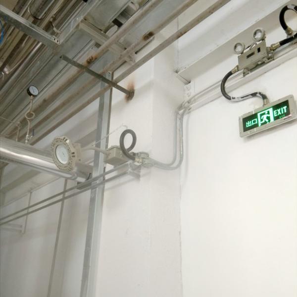 Explosion Proof Led Lamp High Bay Industrial Lighting 126lm W Pan American