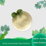 Amino Acid Foliar Fertilizer for Stronger Roots and balanced supplement