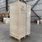 150-320gsm Paper Cup Sheet Free Sample Available For Various Printing Needs