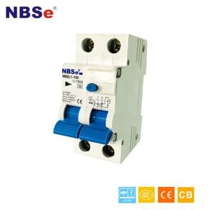 Wholesale NBSL1-100 30 Amp Circuit Breaker , 100a Circuit Breaker High Breaking Capacity from china suppliers